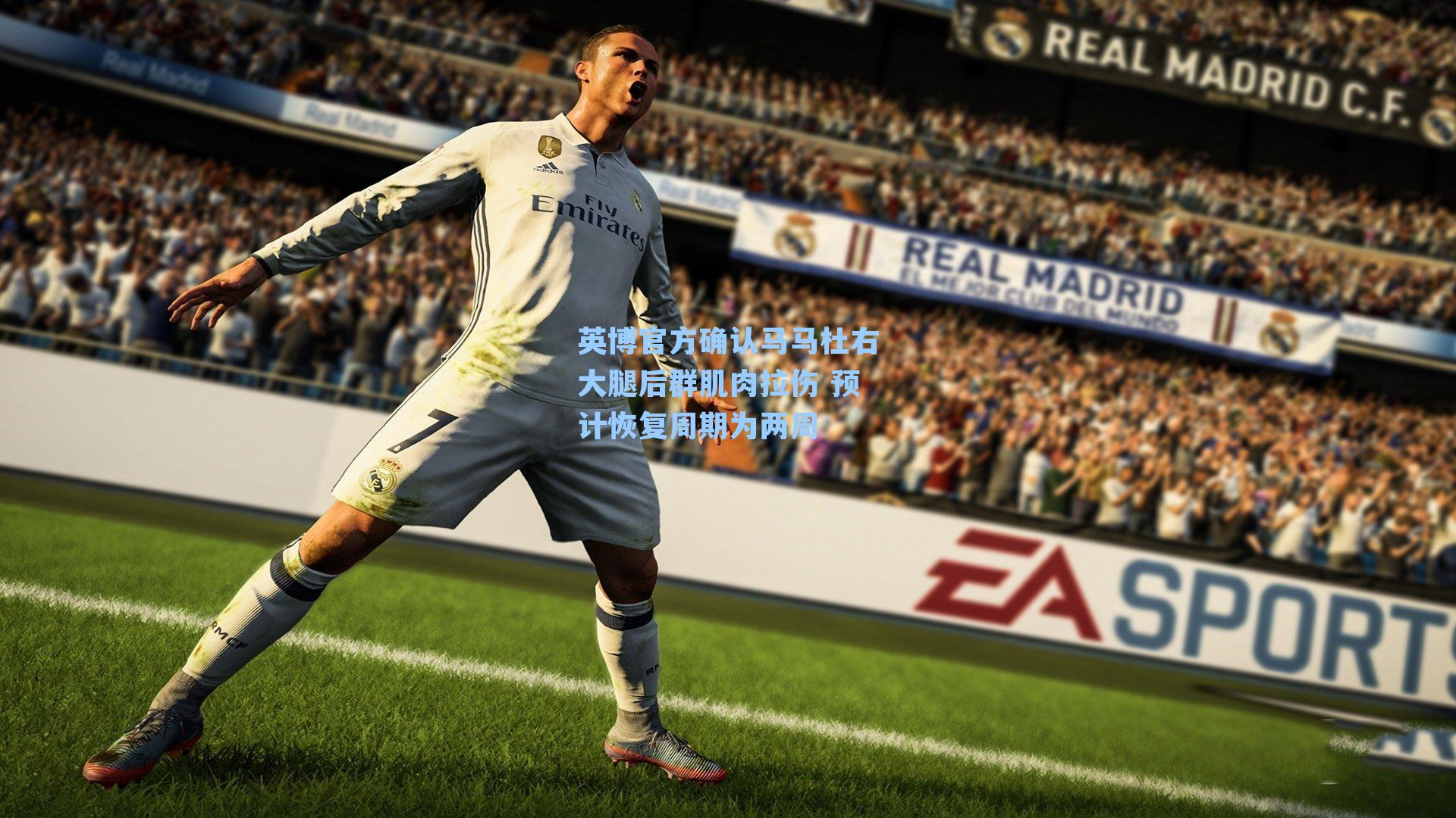 英博官方确认马马杜右大腿后群肌肉拉伤 预计恢复周期为两周